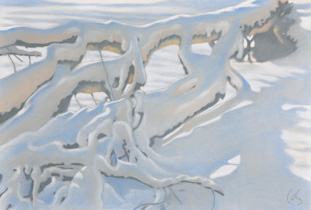 2012 - 75x110cm - Pastel