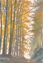 2012 - 110x75cm - Pastel