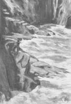2011 - 110x75cm - Fusain