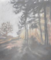 2019 - 49x42 - Pastel