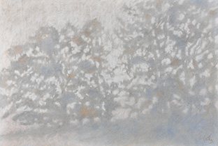 2024 - 75x110 - Pastel