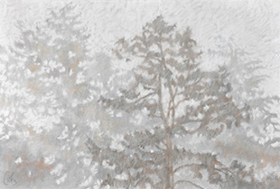 2024 - 75x110 - Pastel