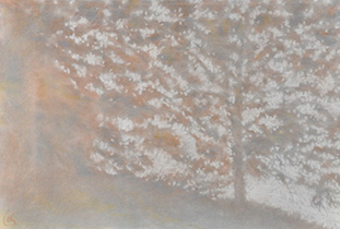 2024 - 75x110 - Pastel