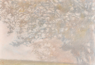 2025 - 75x110 - Pastel