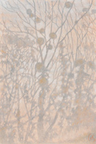 2025 - 110x75 - Pastel