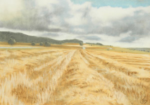 2005 - 70x100cm - Pastel