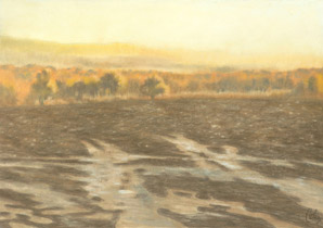 2006 - 70x100cm - Pastel